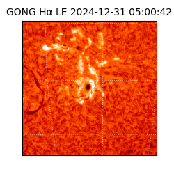 gong - 2024-12-31T05:00:42