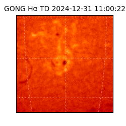 gong - 2024-12-31T11:00:22