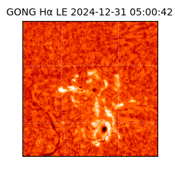 gong - 2024-12-31T05:00:42