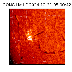 gong - 2024-12-31T05:00:42