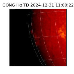 gong - 2024-12-31T11:00:22