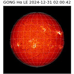 gong - 2024-12-31T02:00:42