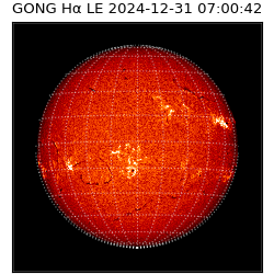 gong - 2024-12-31T07:00:42