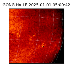 gong - 2025-01-01T05:00:42