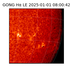gong - 2025-01-01T08:00:42