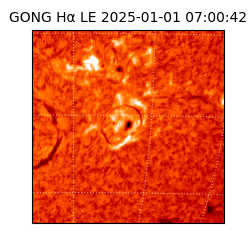 gong - 2025-01-01T07:00:42
