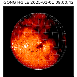 gong - 2025-01-01T09:00:42