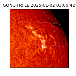 gong - 2025-01-02T03:00:42
