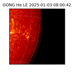 gong - 2025-01-03T08:00:42