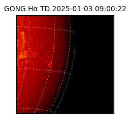 gong - 2025-01-03T09:00:22
