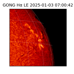 gong - 2025-01-03T07:00:42