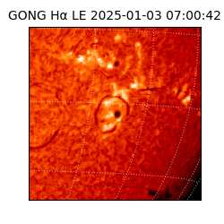 gong - 2025-01-03T07:00:42