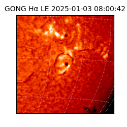 gong - 2025-01-03T08:00:42