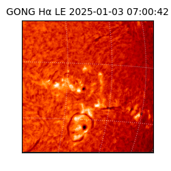 gong - 2025-01-03T07:00:42