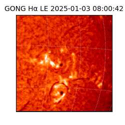 gong - 2025-01-03T08:00:42