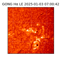 gong - 2025-01-03T07:00:42