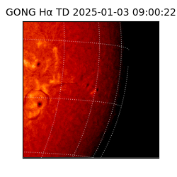 gong - 2025-01-03T09:00:22