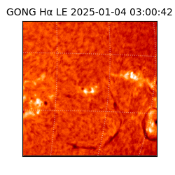 gong - 2025-01-04T03:00:42