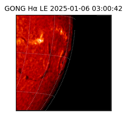 gong - 2025-01-06T03:00:42