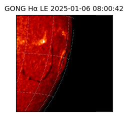 gong - 2025-01-06T08:00:42