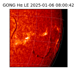 gong - 2025-01-06T08:00:42