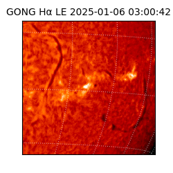 gong - 2025-01-06T03:00:42
