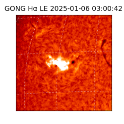 gong - 2025-01-06T03:00:42