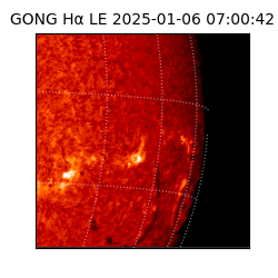 gong - 2025-01-06T07:00:42