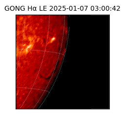 gong - 2025-01-07T03:00:42