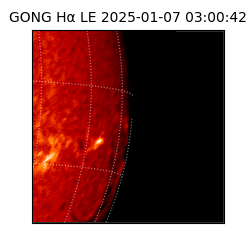 gong - 2025-01-07T03:00:42