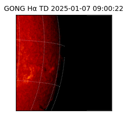 gong - 2025-01-07T09:00:22