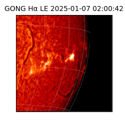 gong - 2025-01-07T02:00:42
