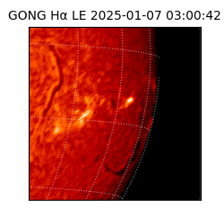 gong - 2025-01-07T03:00:42