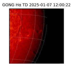 gong - 2025-01-07T12:00:22