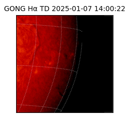 gong - 2025-01-07T14:00:22