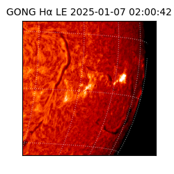 gong - 2025-01-07T02:00:42