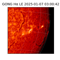 gong - 2025-01-07T03:00:42