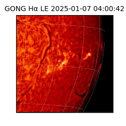 gong - 2025-01-07T04:00:42