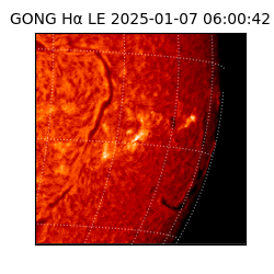 gong - 2025-01-07T06:00:42