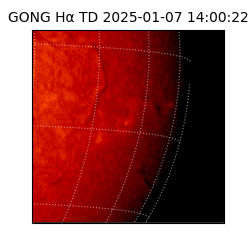 gong - 2025-01-07T14:00:22