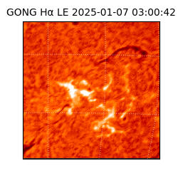 gong - 2025-01-07T03:00:42