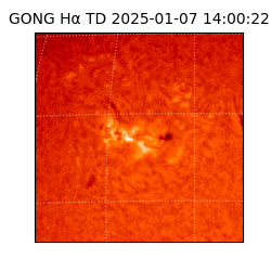 gong - 2025-01-07T14:00:22