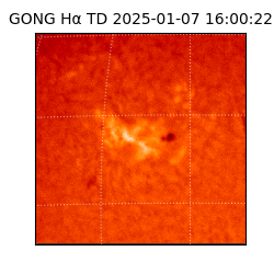 gong - 2025-01-07T16:00:22