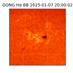 gong - 2025-01-07T20:00:02