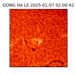 gong - 2025-01-07T02:00:42