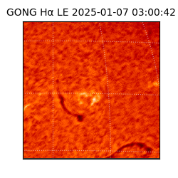 gong - 2025-01-07T03:00:42