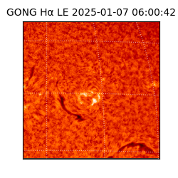 gong - 2025-01-07T06:00:42