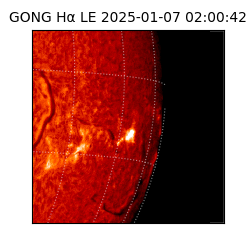 gong - 2025-01-07T02:00:42