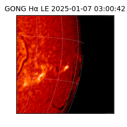 gong - 2025-01-07T03:00:42