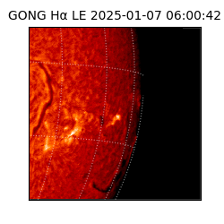 gong - 2025-01-07T06:00:42